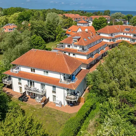 Waterkant 02 - Moewe